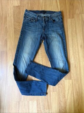 Flying Monkey Skinny Jeans in Medium Blue Wash